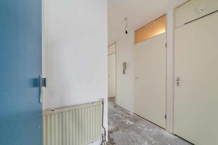 Foto 5 van Ridderspoor 23