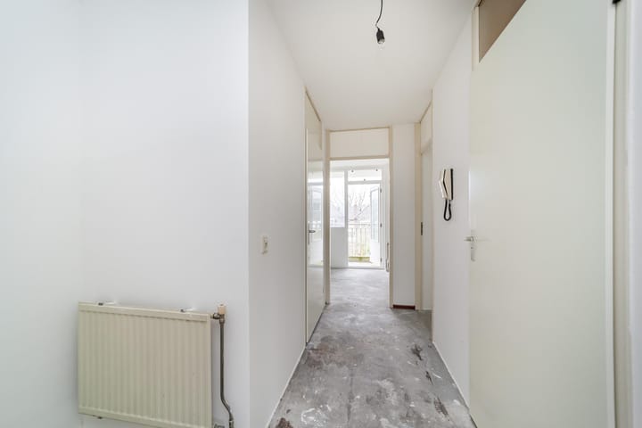 Foto 6 van Ridderspoor 23