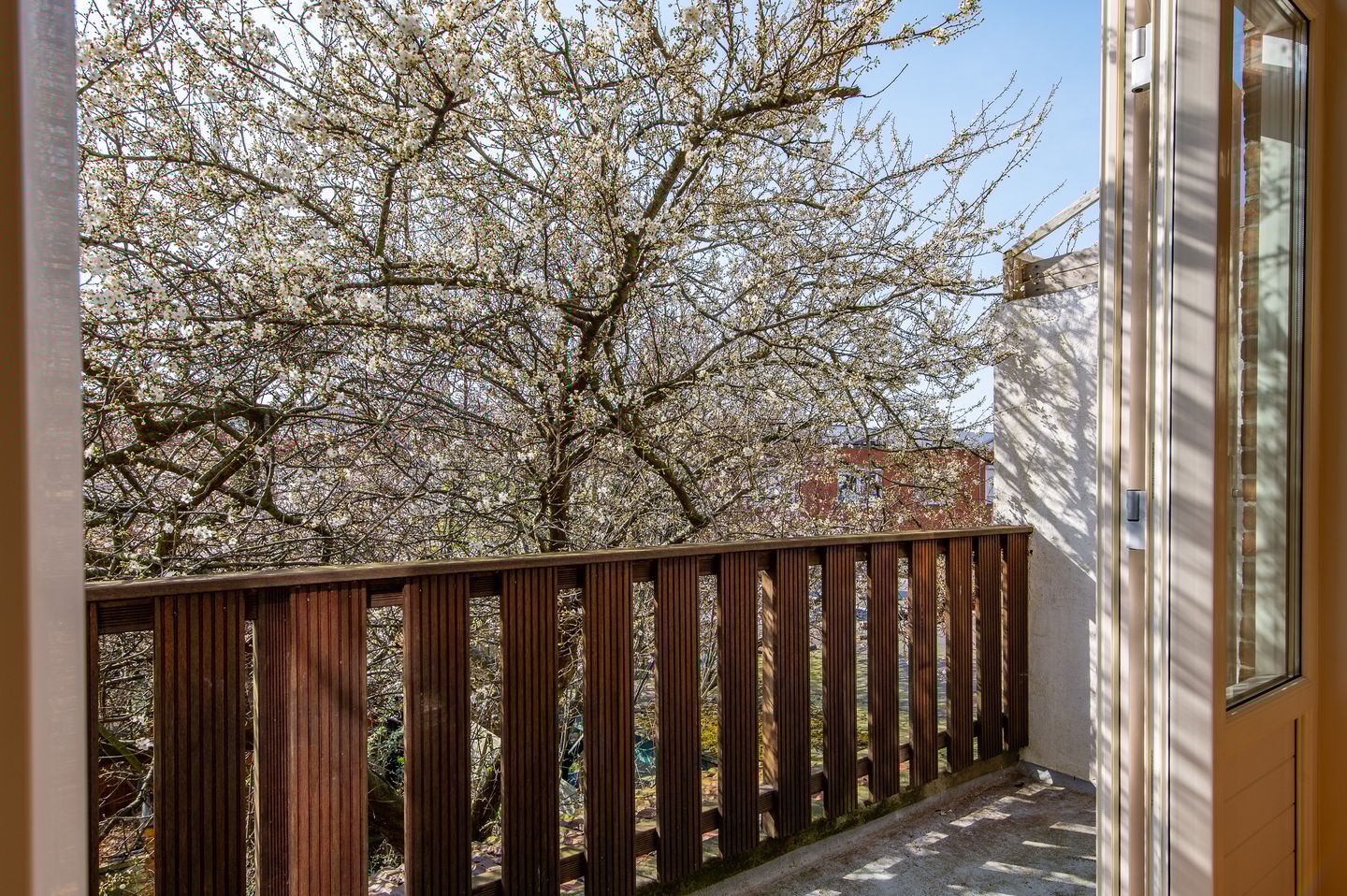 Foto 4 van Delfgauwseweg 253