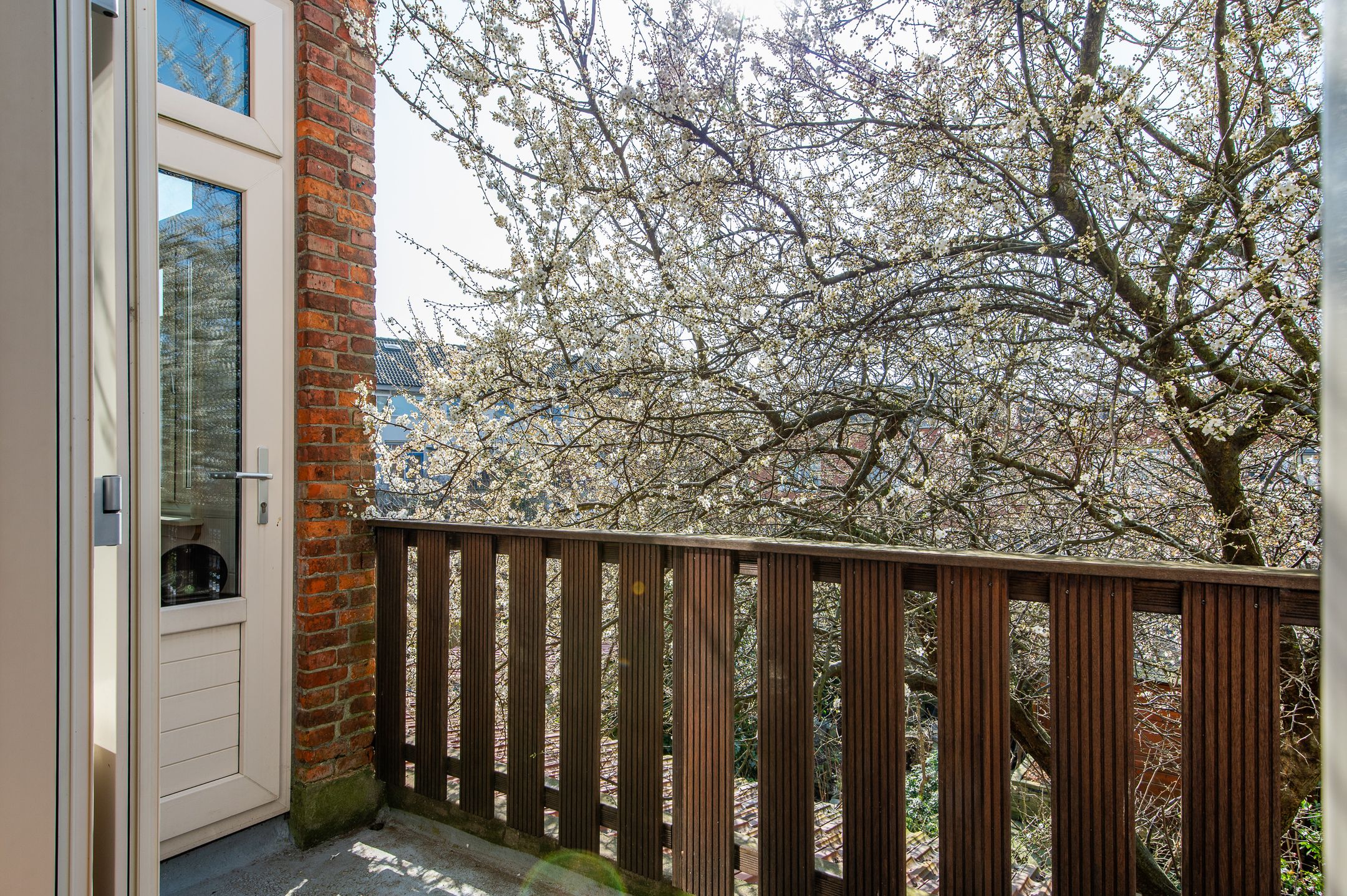 Foto 12 van Delfgauwseweg 253