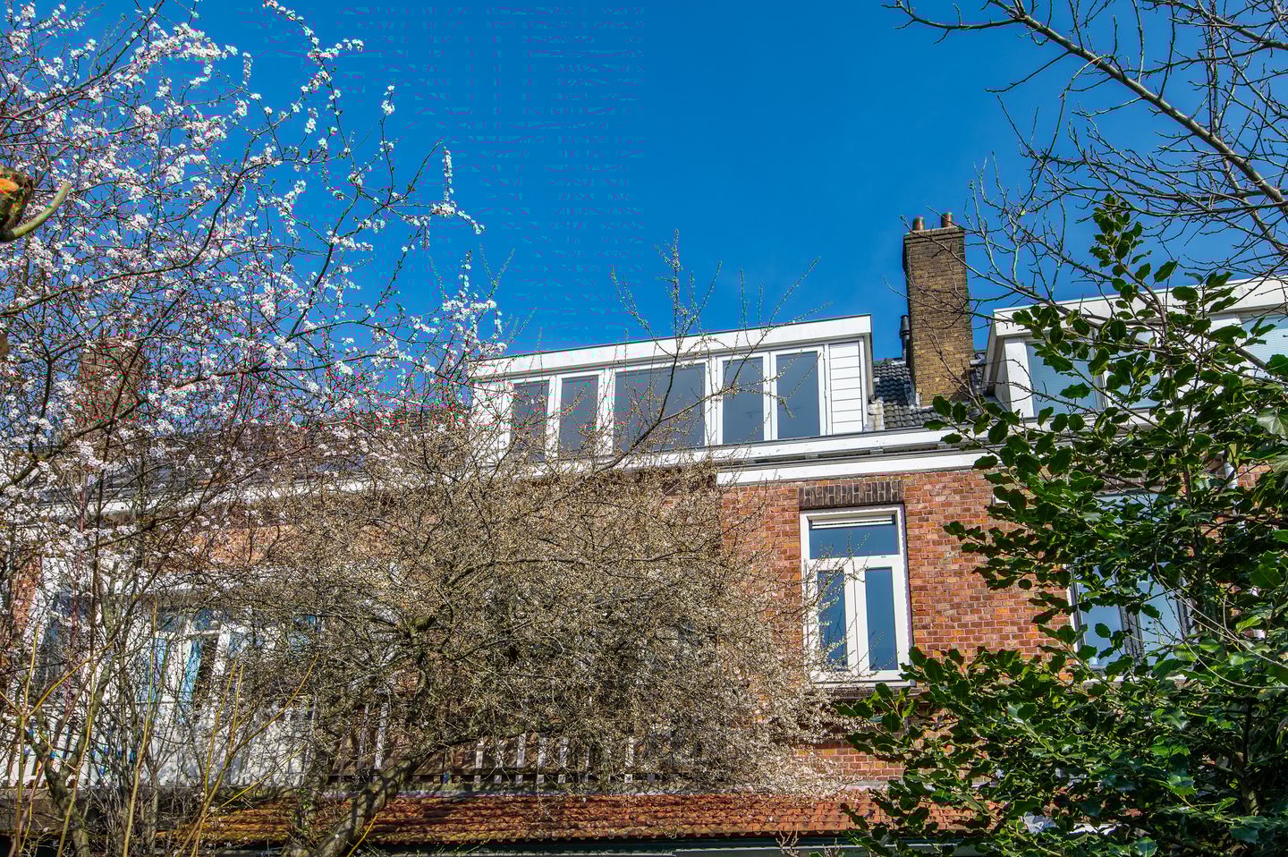 Foto 14 van Delfgauwseweg 253