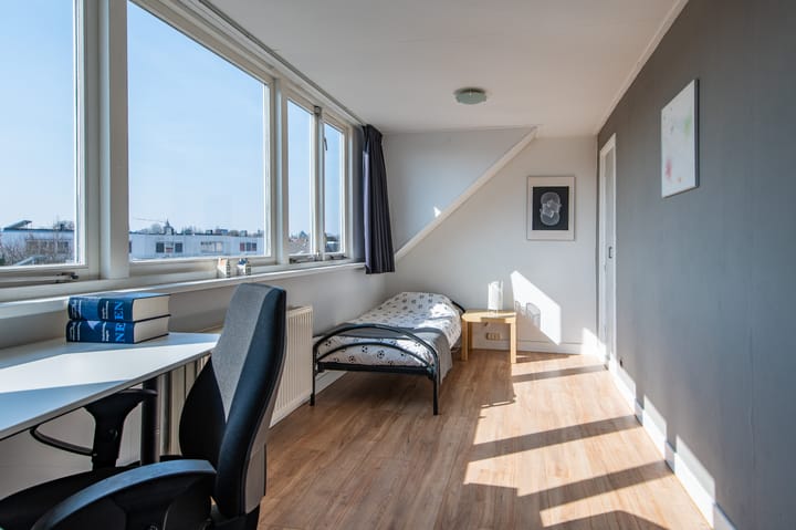 Foto 18 van Delfgauwseweg 253