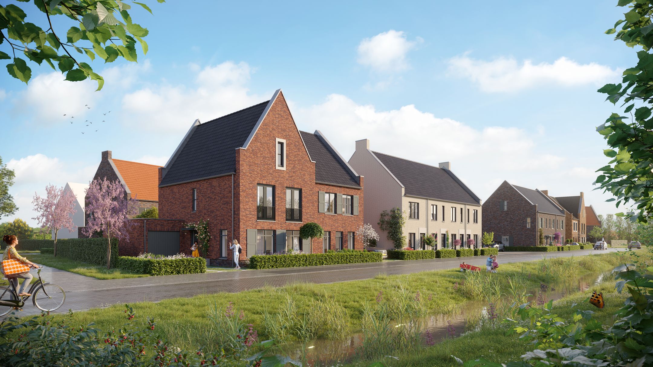 Image of THUIS IN STEEGSCHE VELDEN