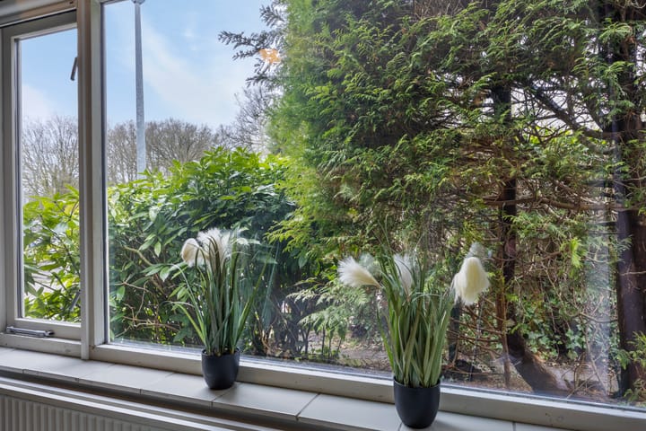 Foto 14 van Noorderkroon 14