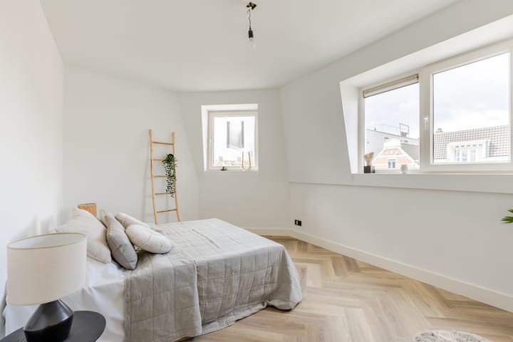 Foto 22 van Bleiswijkstraat 105-B