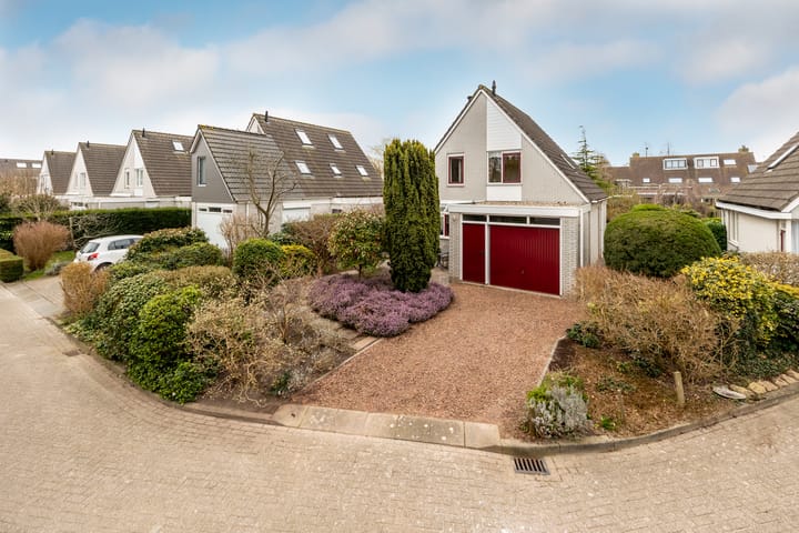 Foto 1 van Lepelblad 9