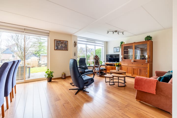 Foto 2 van Lepelblad 9