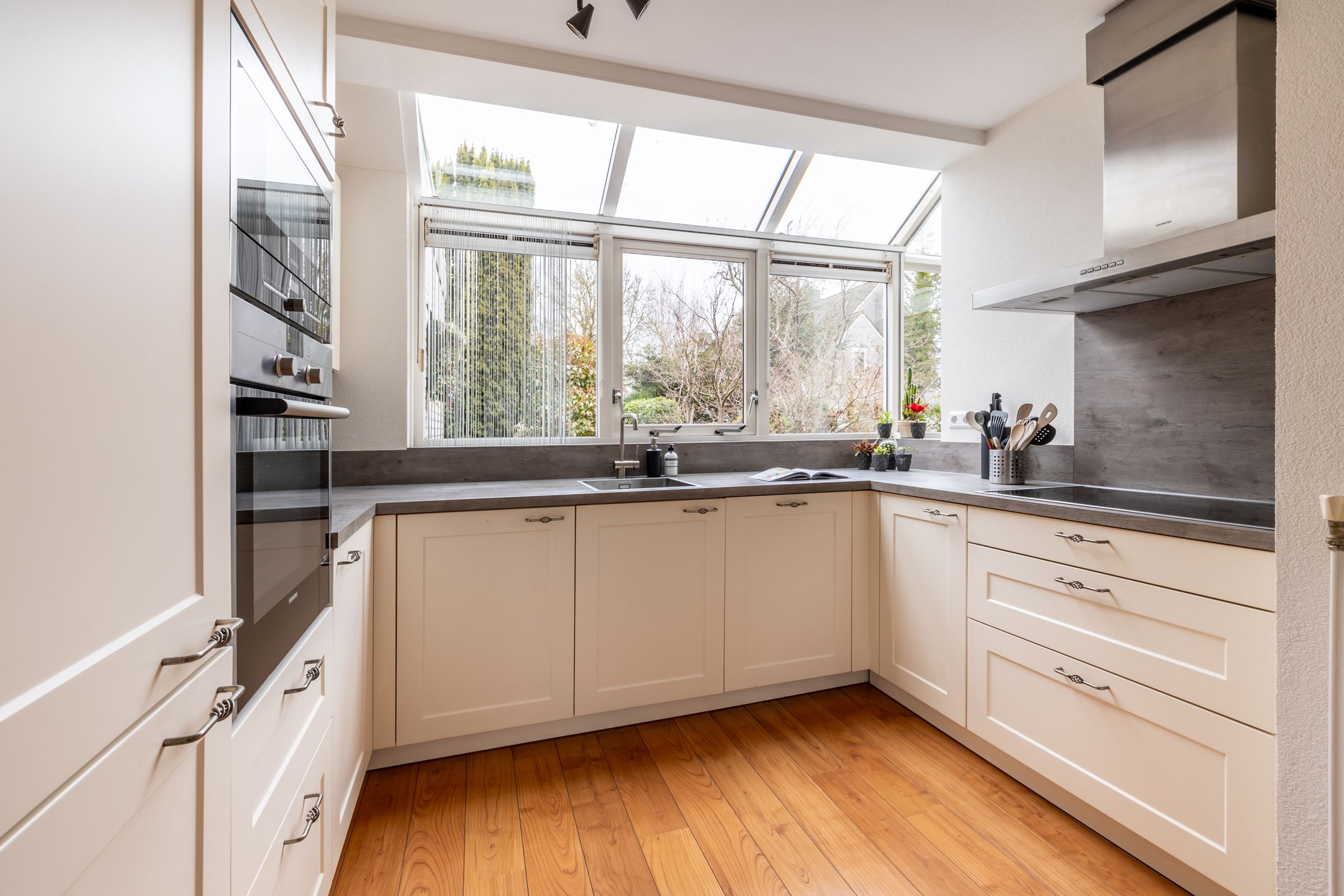 Foto 3 van Lepelblad 9