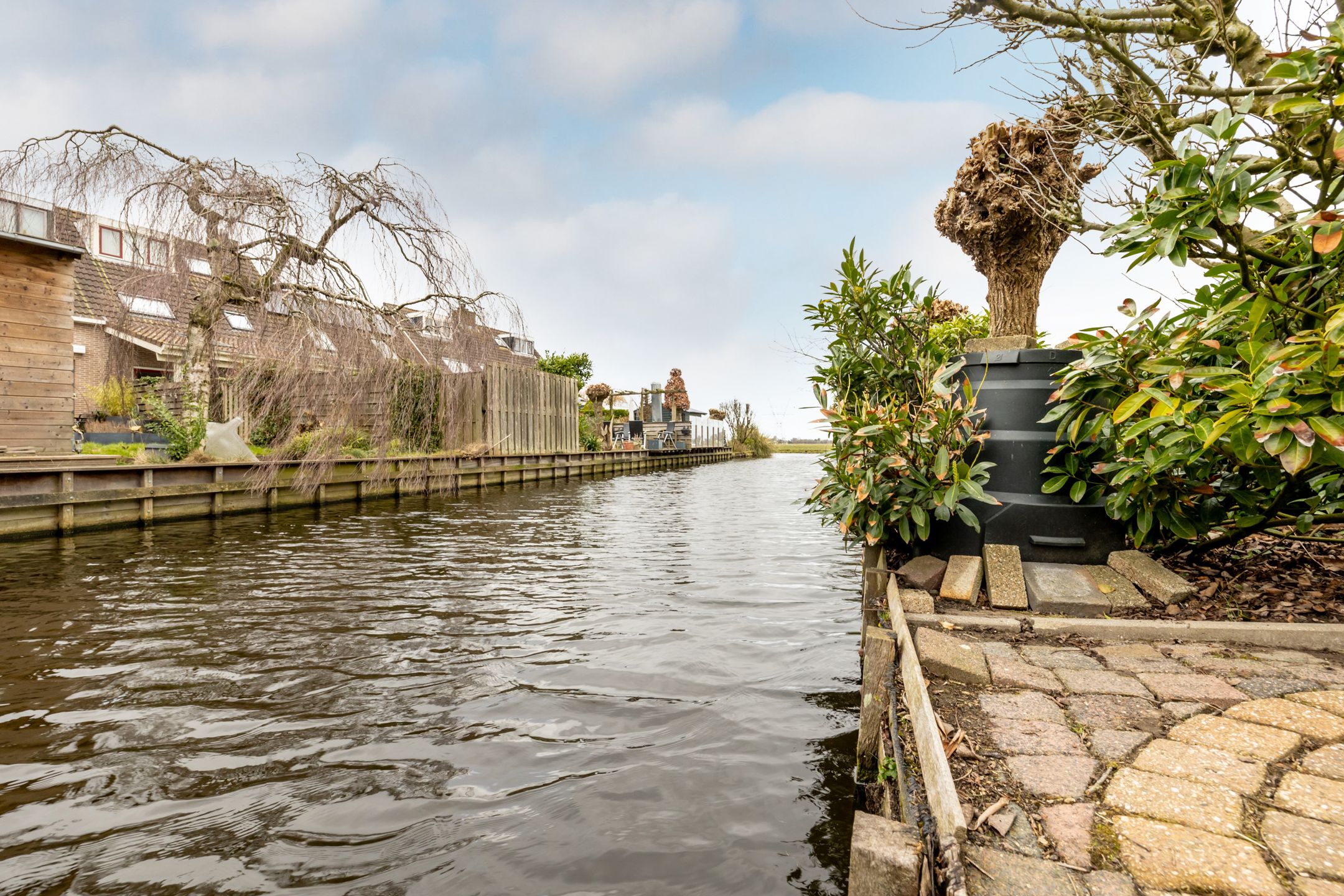 Foto 6 van Lepelblad 9