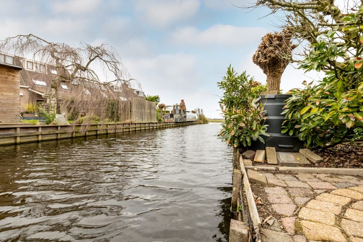 Foto 6 van Lepelblad 9