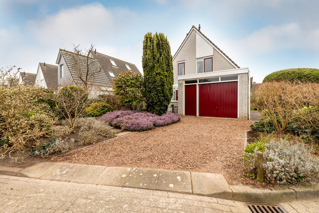 Foto 7 van Lepelblad 9