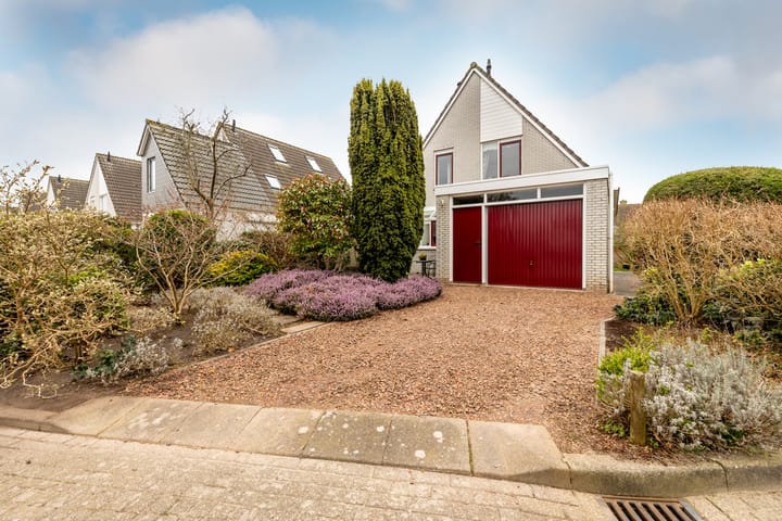 Foto 7 van Lepelblad 9