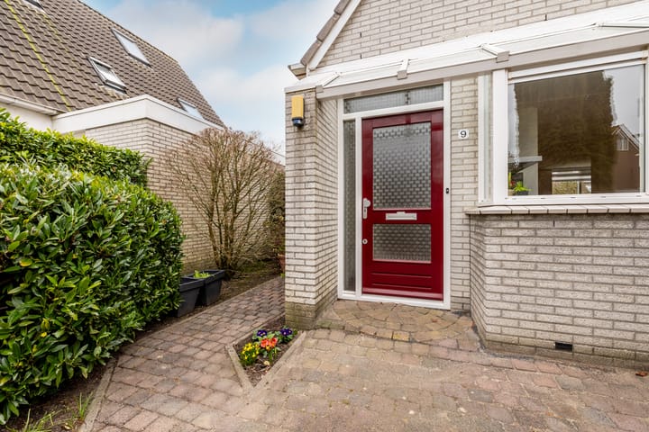 Foto 9 van Lepelblad 9