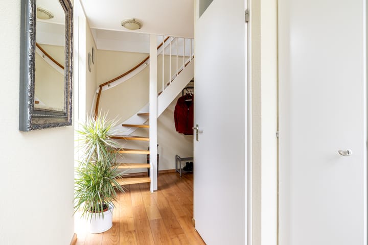 Foto 10 van Lepelblad 9