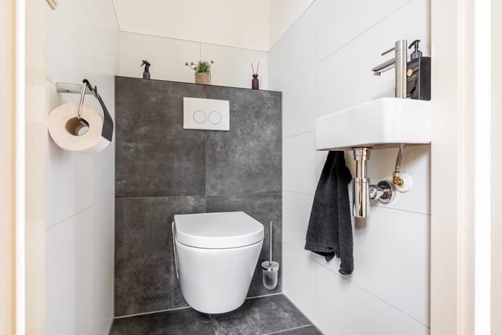 Foto 11 van Lepelblad 9