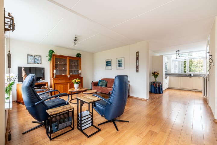 Foto 12 van Lepelblad 9