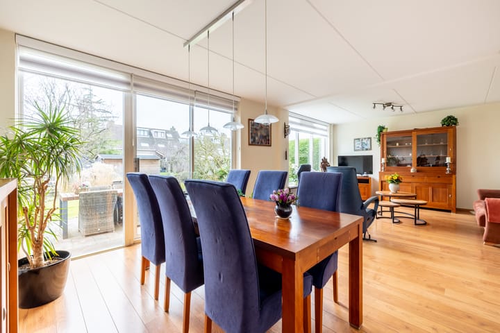 Foto 16 van Lepelblad 9