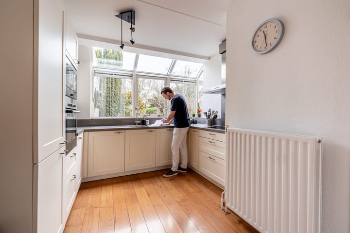 Foto 19 van Lepelblad 9