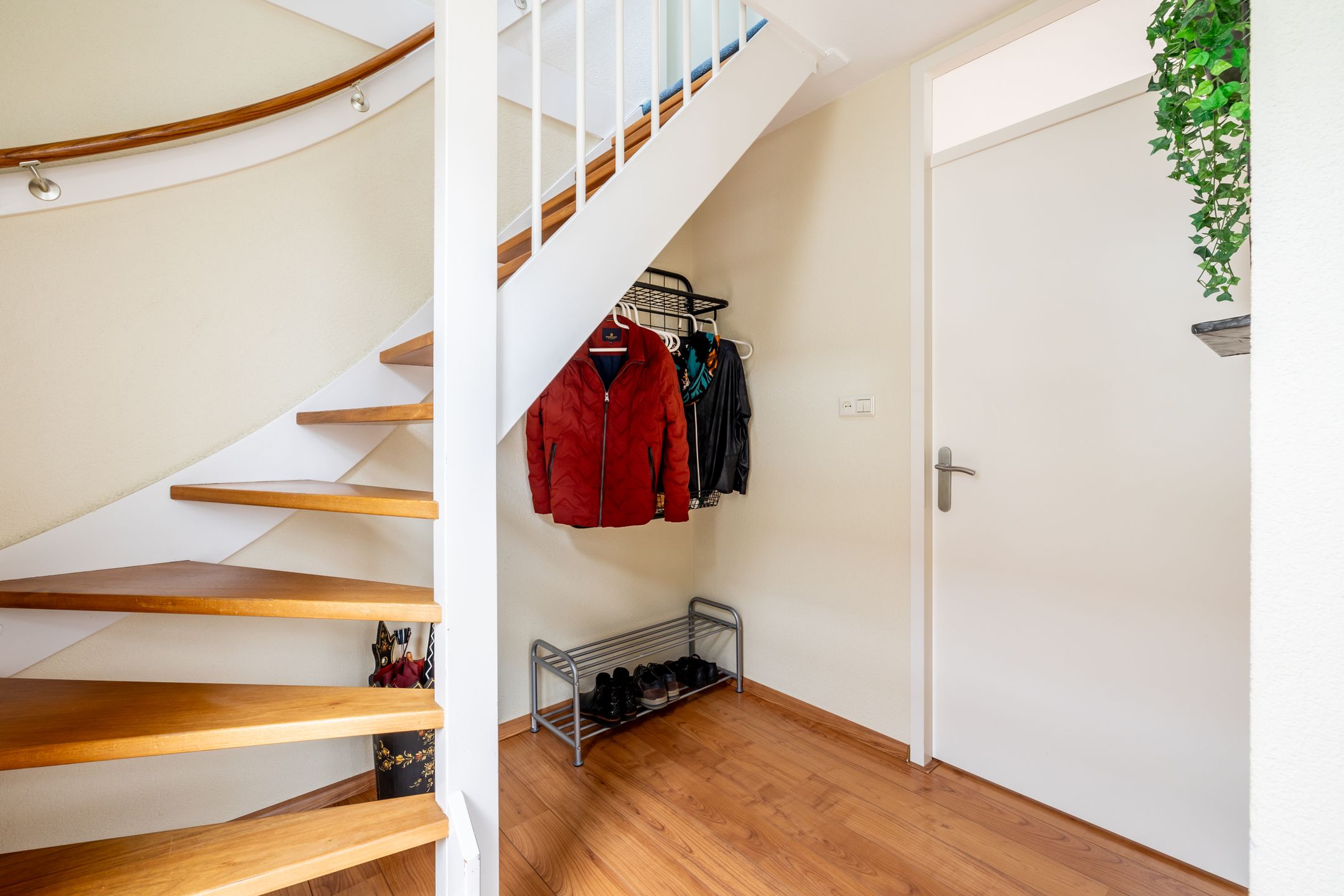 Foto 24 van Lepelblad 9