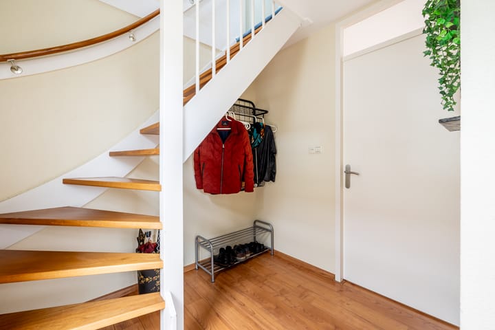 Foto 24 van Lepelblad 9