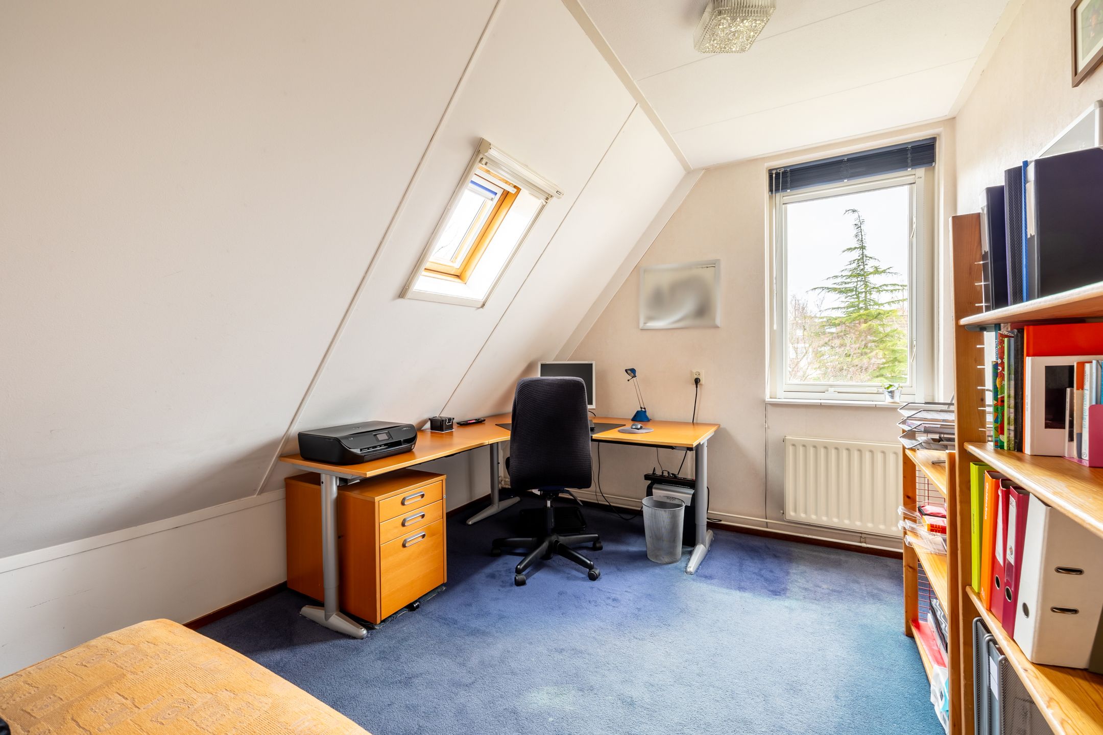 Foto 36 van Lepelblad 9