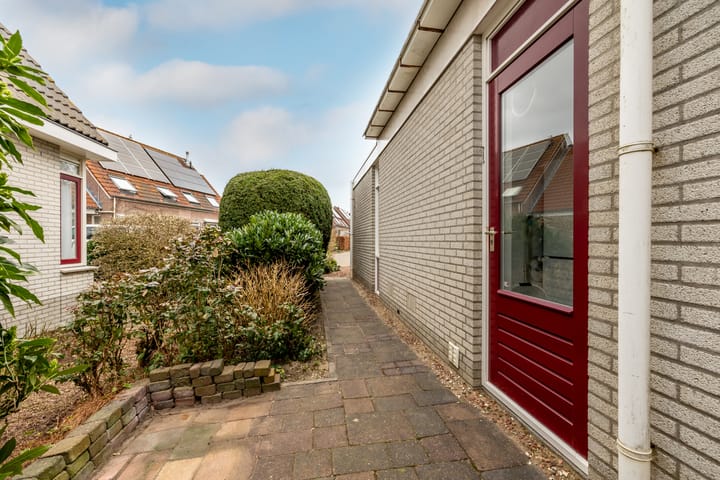 Foto 42 van Lepelblad 9