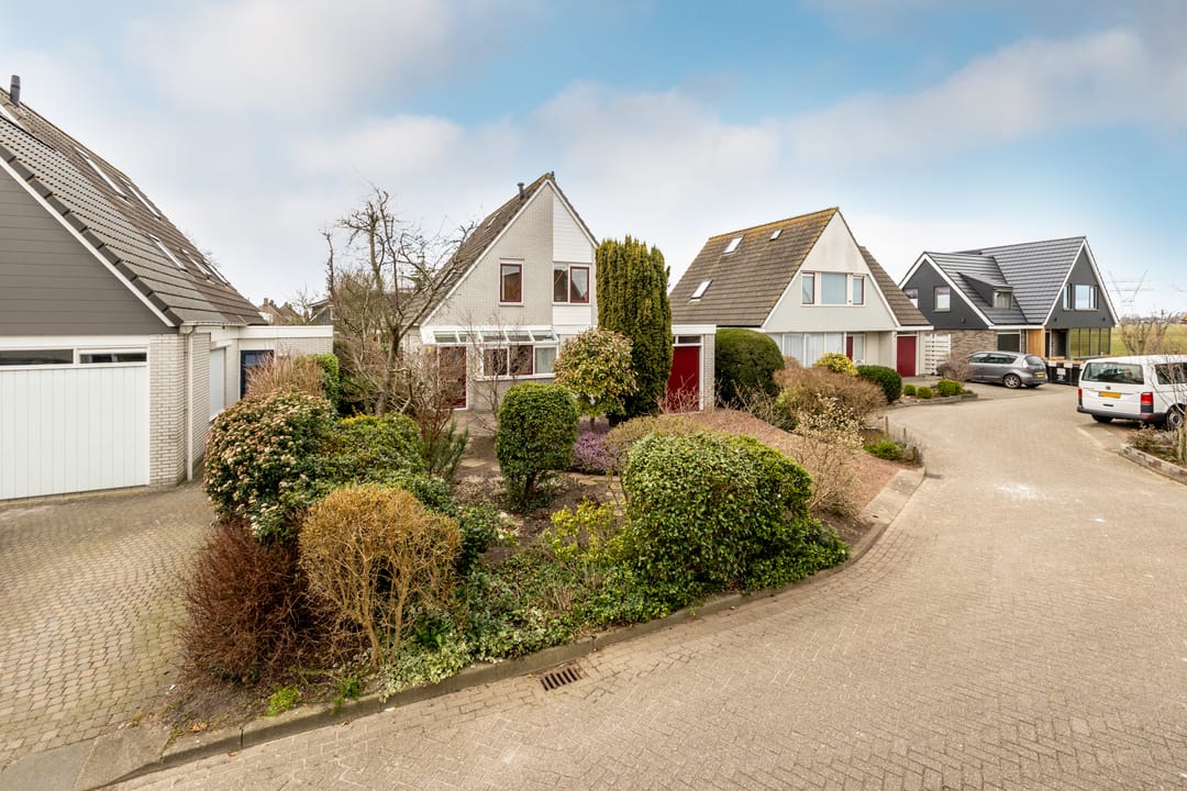 Foto 43 van Lepelblad 9