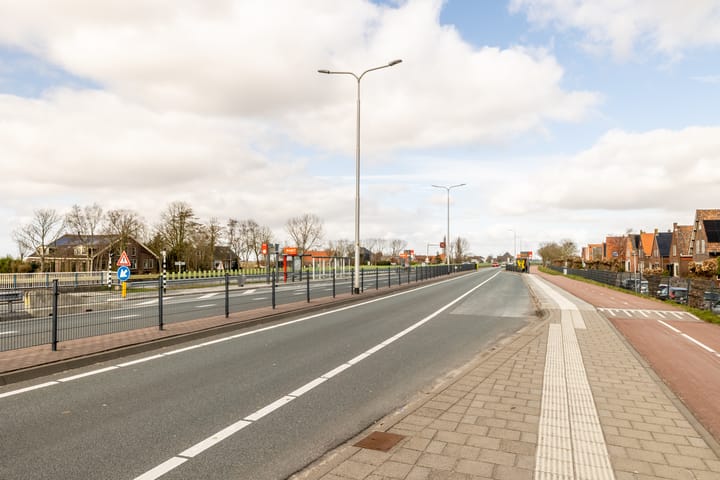 Foto 46 van Lepelblad 9