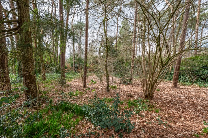 Foto 41 van Vinklaan 7