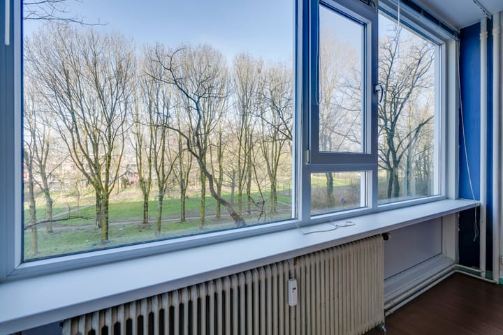 Foto 2 van Dommeringdreef 101