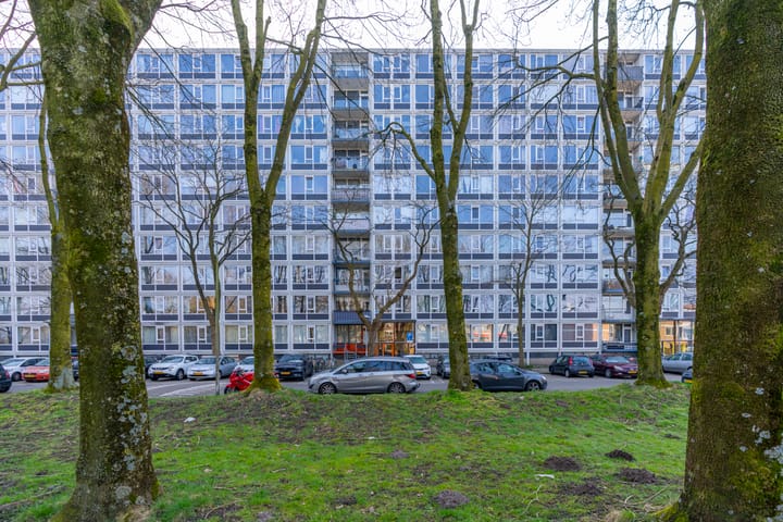 Foto 7 van Dommeringdreef 101