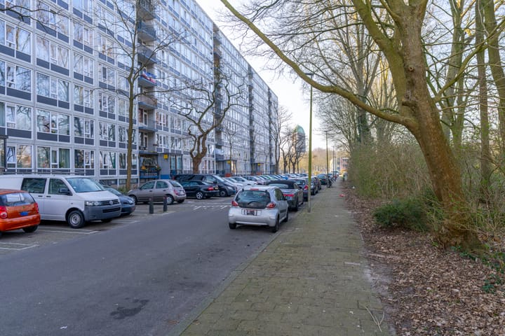 Foto 8 van Dommeringdreef 101