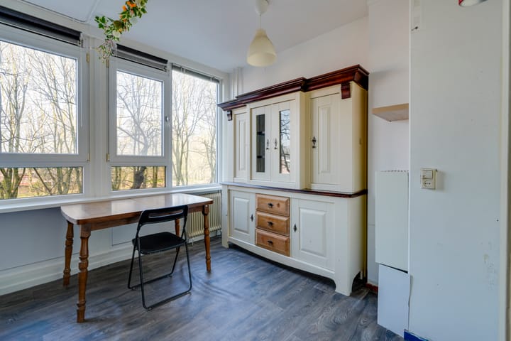 Foto 26 van Dommeringdreef 101