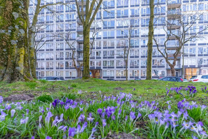 Foto 6 van Dommeringdreef 101