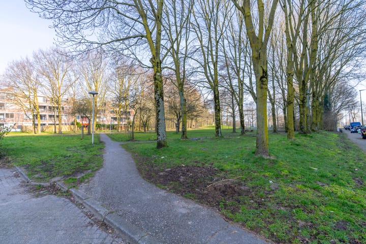 Foto 37 van Dommeringdreef 101