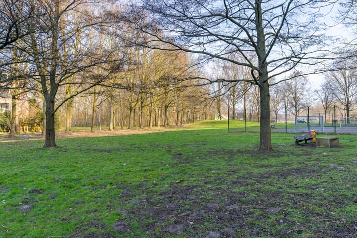 Foto 38 van Dommeringdreef 101