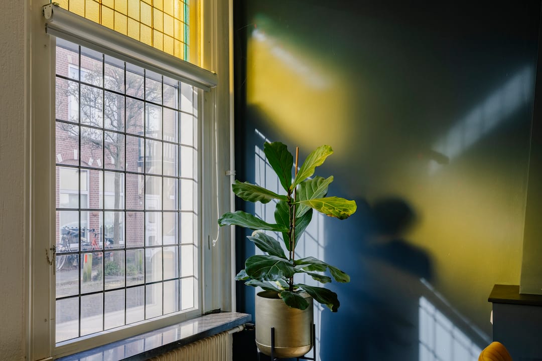 Foto 16 van Spionkopstraat 64