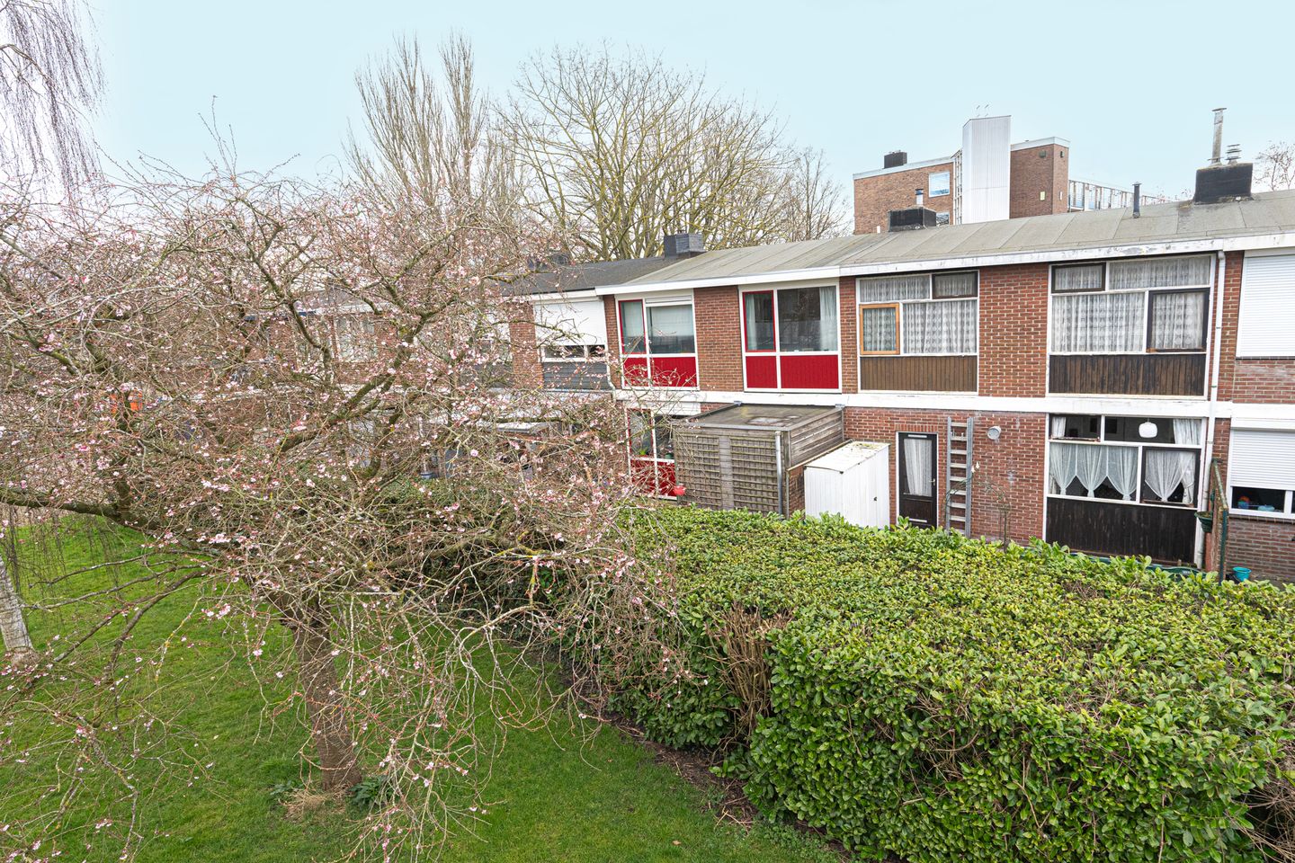 Foto 49 van Nachtegaallaan 39