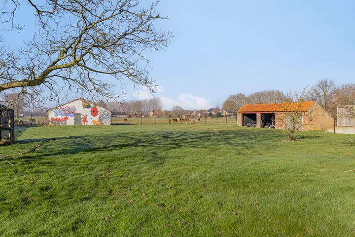 Foto 30 van Weijen 47