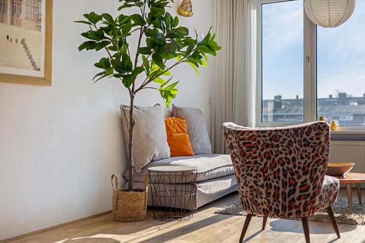 Foto 16 van Neptunusstraat 46