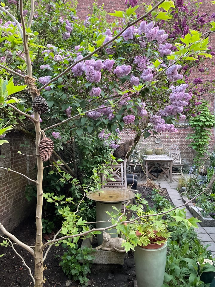 Foto 47 van Stationsstraat 7