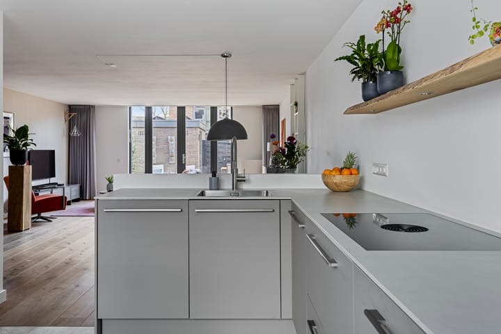 Foto 3 van IJsvogel 11