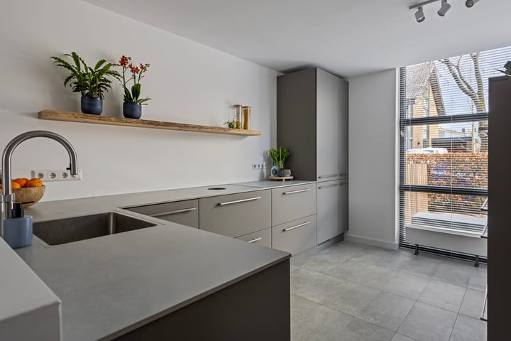 Foto 12 van IJsvogel 11