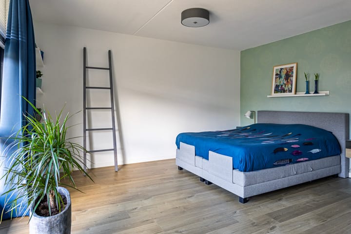 Foto 15 van IJsvogel 11