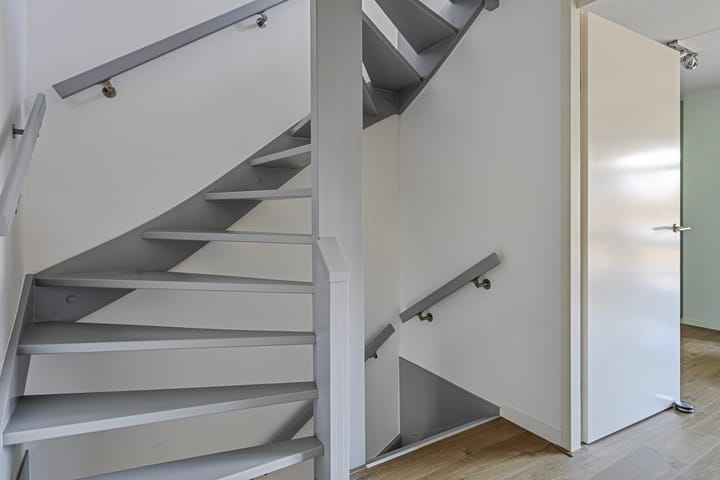 Foto 26 van IJsvogel 11