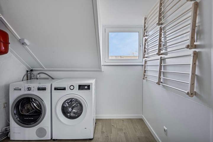 Foto 32 van IJsvogel 11