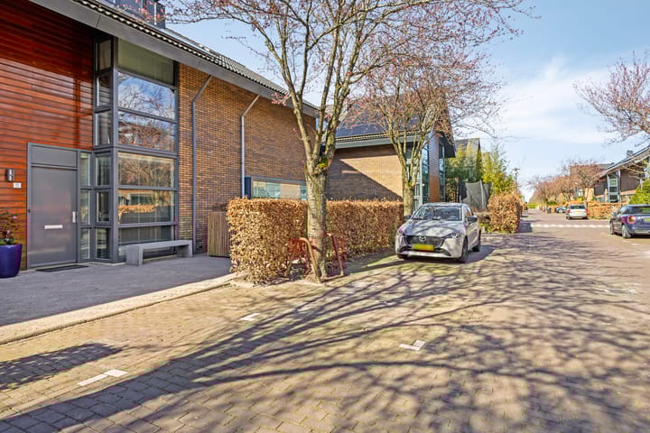 Foto 40 van IJsvogel 11