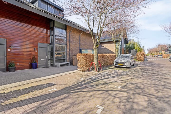 Foto 41 van IJsvogel 11