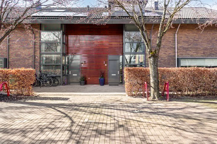 Foto 42 van IJsvogel 11