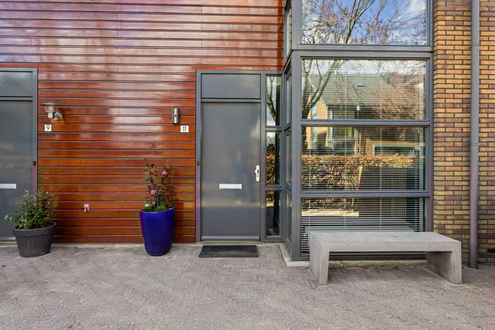 Foto 43 van IJsvogel 11